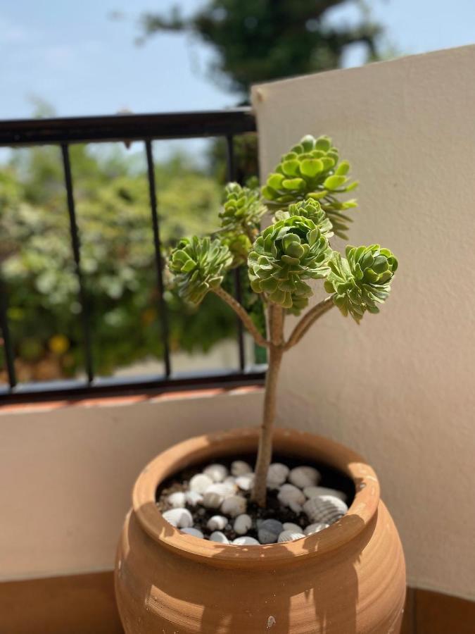 Las Palmeras 3, Nerja Exterior foto